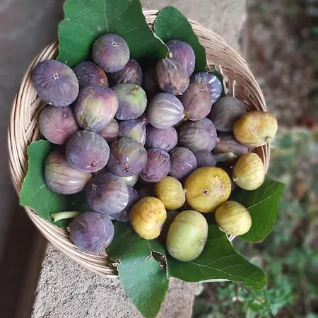 Perla Del Salento * Torre Suda