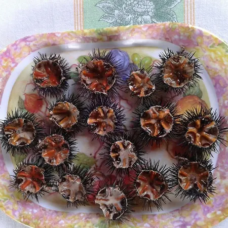 Perla Del Salento トッレ・スーダ